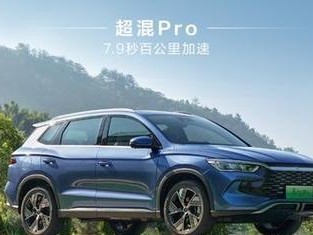 御pro白菜教程（掌握御pro白菜，开启高效办公新时代）