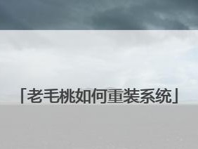 老毛桃9.2装机教程（老毛桃9.2装机教程，教你如何打造高效稳定的电脑系统）