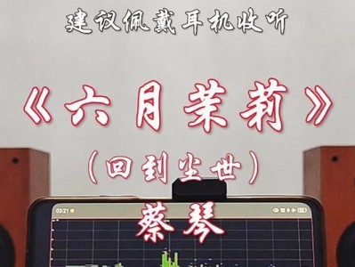 深度评测（一起探究蔡琴音箱的特点和优缺点）