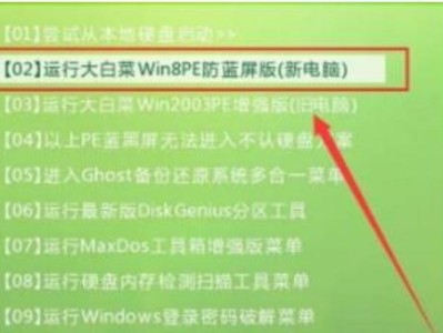 使用PE制作电脑分区教程（详细教你如何使用PE系统进行电脑分区操作）