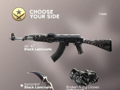 CSGO电脑滤镜调色教程（提升游戏画面质量的关键技巧）