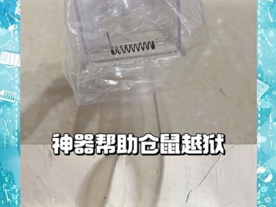 帮助仓鼠减肥的秘诀（科学饮食和适当运动让仓鼠恢复健康体重）