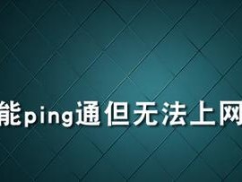 电脑联网中的IP地址错误及解决方法（解决电脑联网时出现的IP地址错误问题）