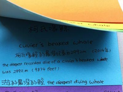 电脑制作单词书教程（利用计算机技术提高单词记忆效率）