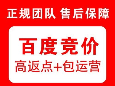 如何有效地去除百度搜索中的广告（学会这些方法，让你畅享无广告搜索体验）