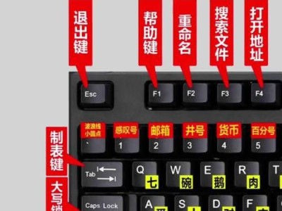 电脑基础知识系统教程（解密电脑世界，掌握必备技能）