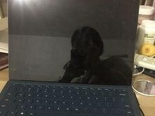 微软4电脑开不了机