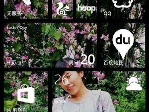 探索WP8.1手机的主题定制功能（个性化主题，为手机增添独特魅力）