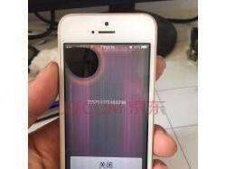 苹果5官翻机质量如何？（深度评测，解析苹果5官翻机的品质）