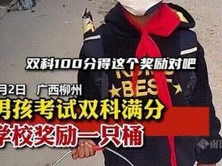 以双科手机怎么样（探索双科手机的功能与性能）