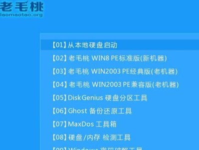 七彩虹U盘启动教程（一次性解决电脑启动问题，以及更多有趣的功能）